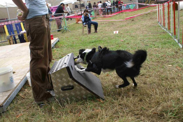 foire-haricots 2011-09-17et18